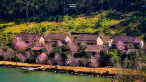 Tour Đà Nẵng Măng Đen 2 ngày 1 đêm